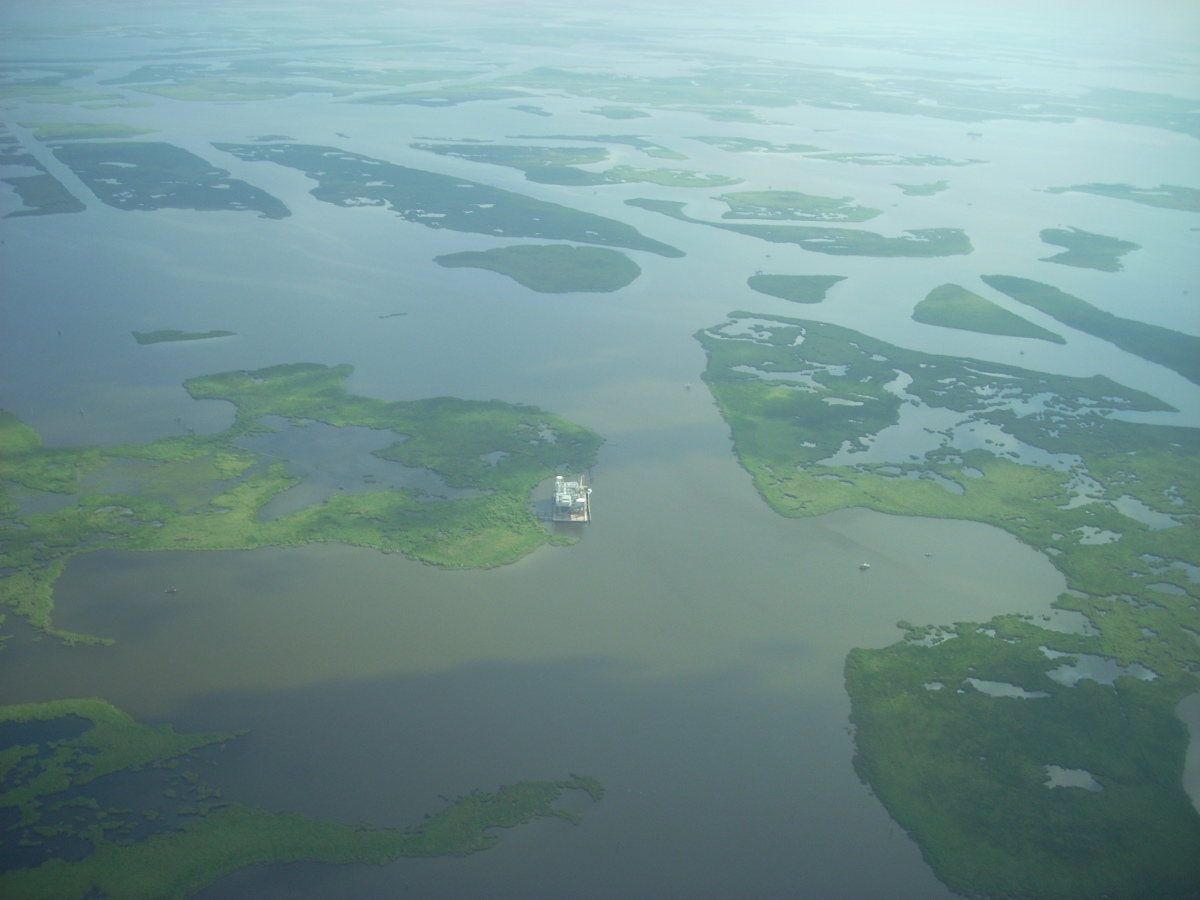 In contrast, the coastal wetlands of the Mississippi Delta, south of New Orleans, are now more water than land because the region has been starved of needed sediments by industrialization. This resource used to provide a natural buffer to storm surges, as well as a nursery for hundreds of marine and avian species.
