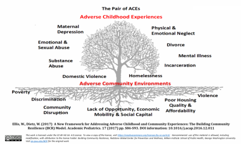 CYW bcr_pairofacestree_cclicense.png CYW bcr_pairofacestree_cclicense.png