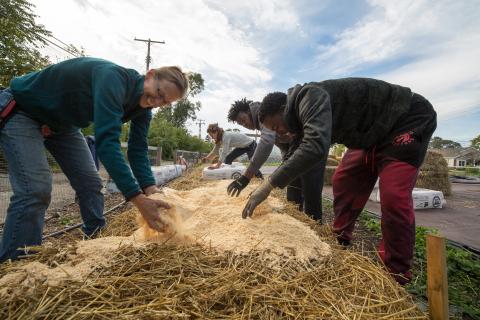 kipd_penrose_market_garden.jpg Building a compost pile at GrowTown Penrose Market Garden in Detroit.