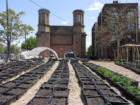 lincoln-park-church-garden.jpg Rows of potted soil prepared for planting