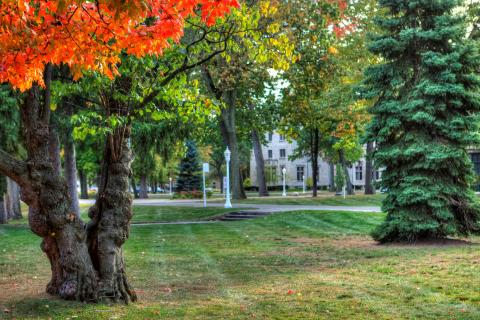 marygrove3.jpg marygrove3.jpg