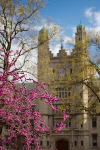 marygrove4.jpg marygrove4.jpg