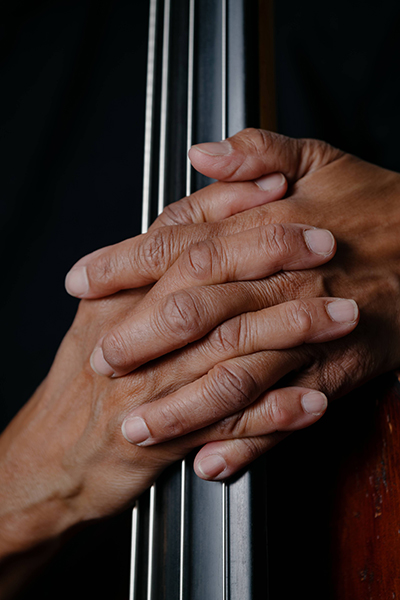 The hands of bassist Marion Hayden on the strings of her bass