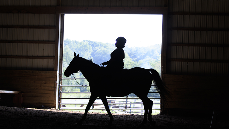A 13-year old eighth grade student , riding a horse is seen in silhouette.