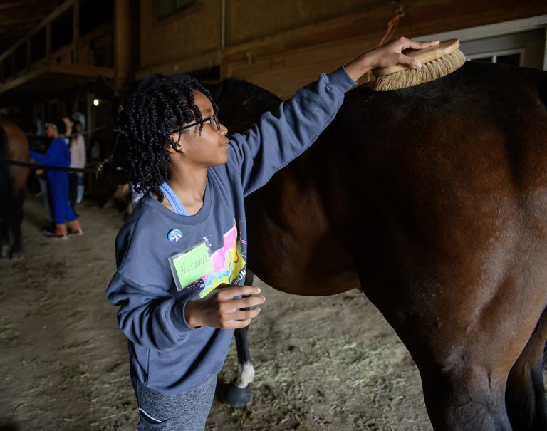A 12-year-old student grooms a horse with a brush in a stable. 