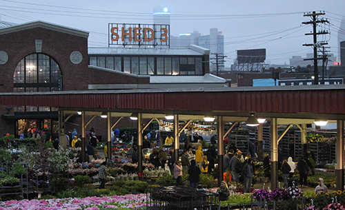 A large open-air market (Eastern Market in Detroit) with rows of flowers and a building in the background with the sign Shed 3 on top. The Detroit skyline with the Renaissance Center is seen further in the back. 