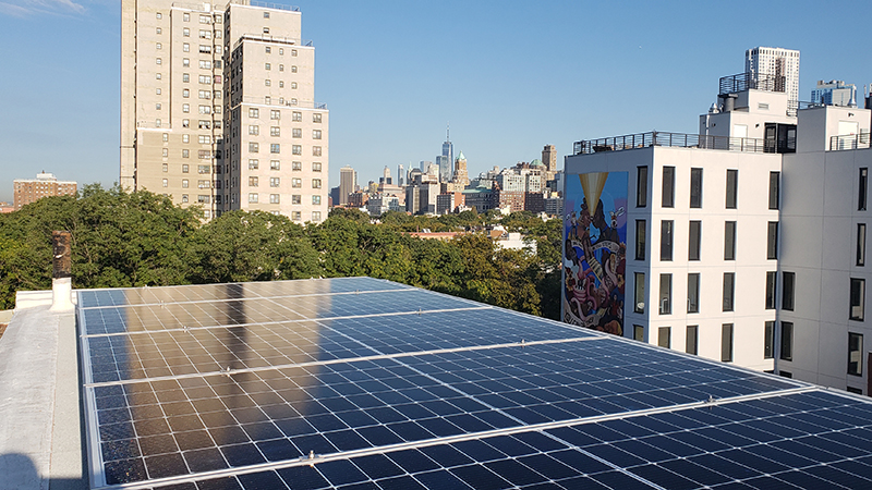 A row of solar panels on a rooftop in Brooklyn, New York, with skyscrapers in the background.