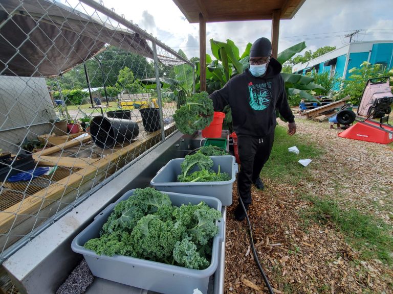 A man wearing a mask waters a gray plastic bin containing green plants.