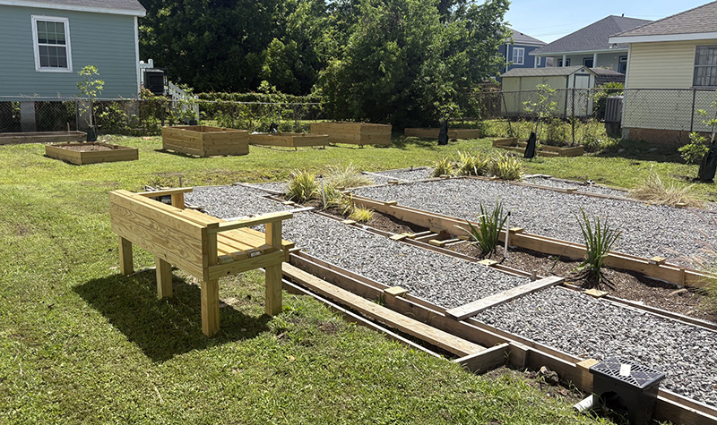 A green space with green infrastructure projects designed to capture rainwater 