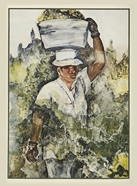 A postcard created by Kresge Eminent Artist Nora Chapa Mendoza of a migrant farm worker in the field carrying a bucket above his head.