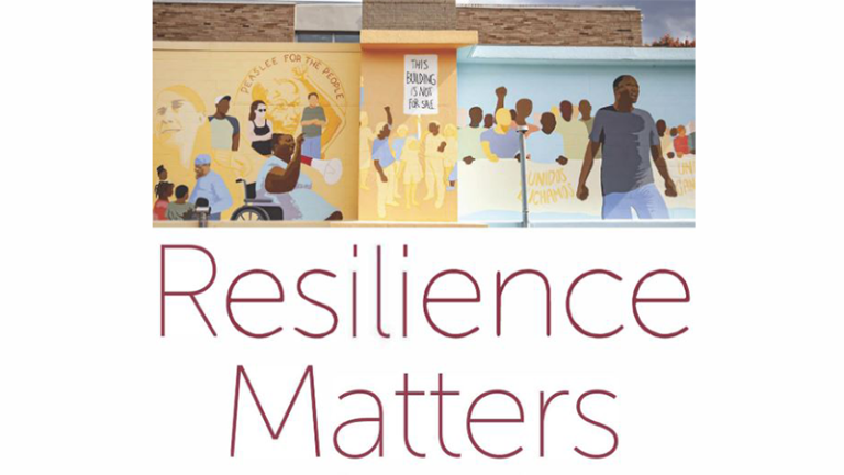 Cover of the Island Press e-book Resilience Matters