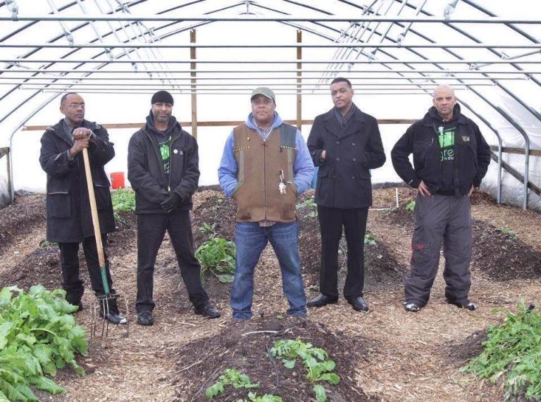 5 men stand in on a dirt floor in a greenhouse surrounded by plants.