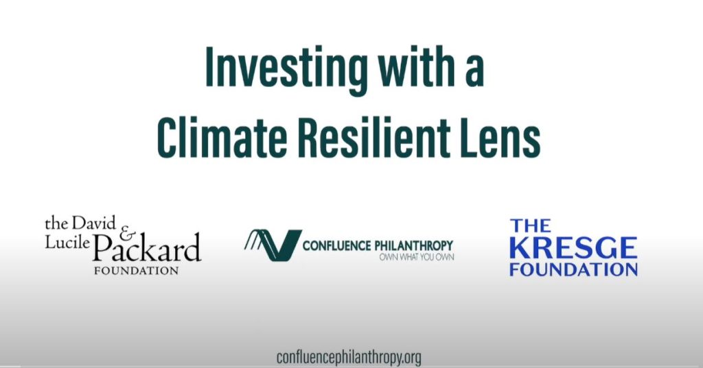 Investing with a Climate Resilient Lens