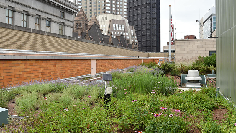 A green roof on the top of an old county building in Pittsburgh